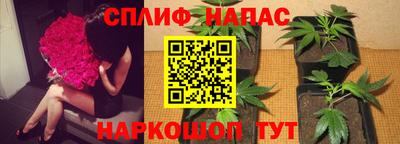 первитин Дубна