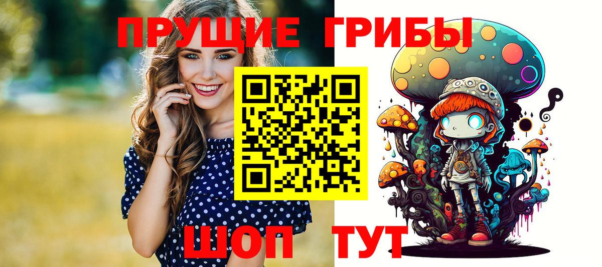 Псилоцибиновые грибы GOLDEN TEACHER  Вход с VPN  Псилоцибиновые грибы GOLDEN TEACHER  Ливны 